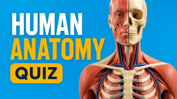 Human Anatomy Quiz quiz cover