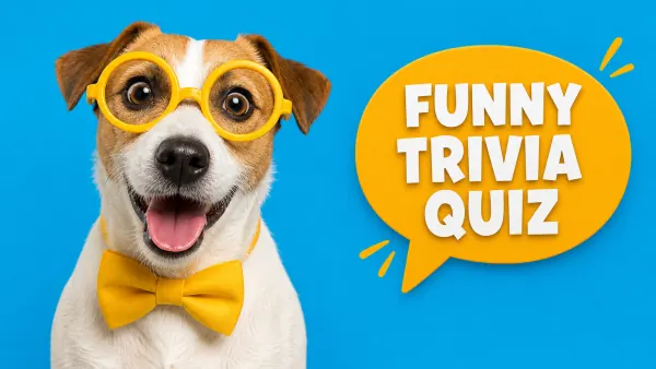 Funny Trivia Quiz cover